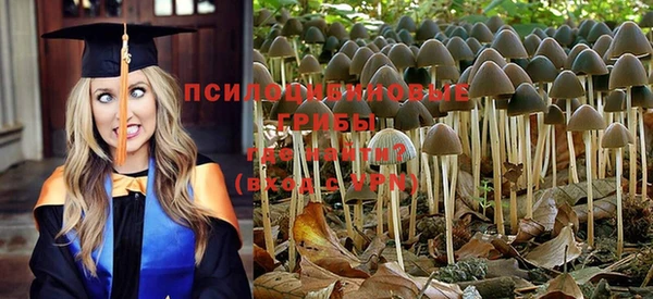 соль ск Алексин