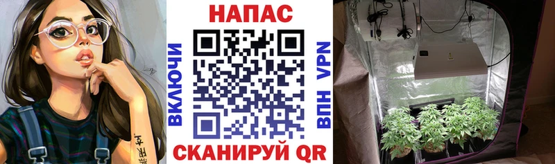 где найти Ставрополь Канабис Amnesia