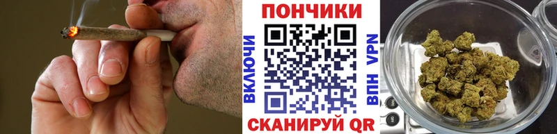 Бошки Шишки планчик Ставрополь